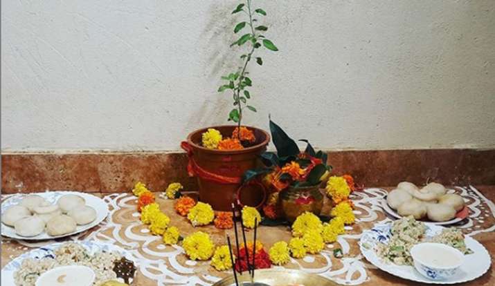 Tulsi Blessings : मन और आत्मा को शुद्ध करता है यह पवित्र पौधा, सावन में  करें पूजा
