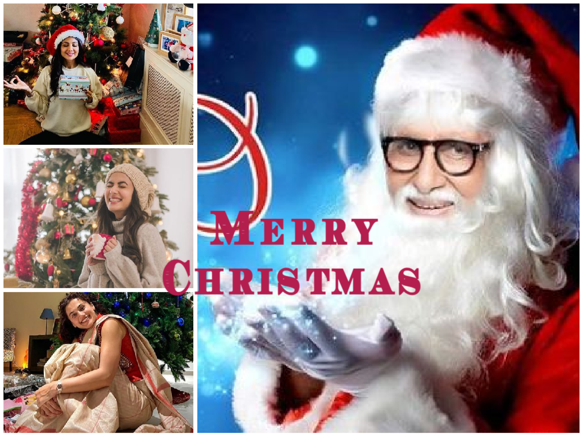 Merry Christmas 2021 wishe: बॉलीवुड सेलेब्स ने खास अंदाज में फैंस को दी क्रिसमस की बधाई