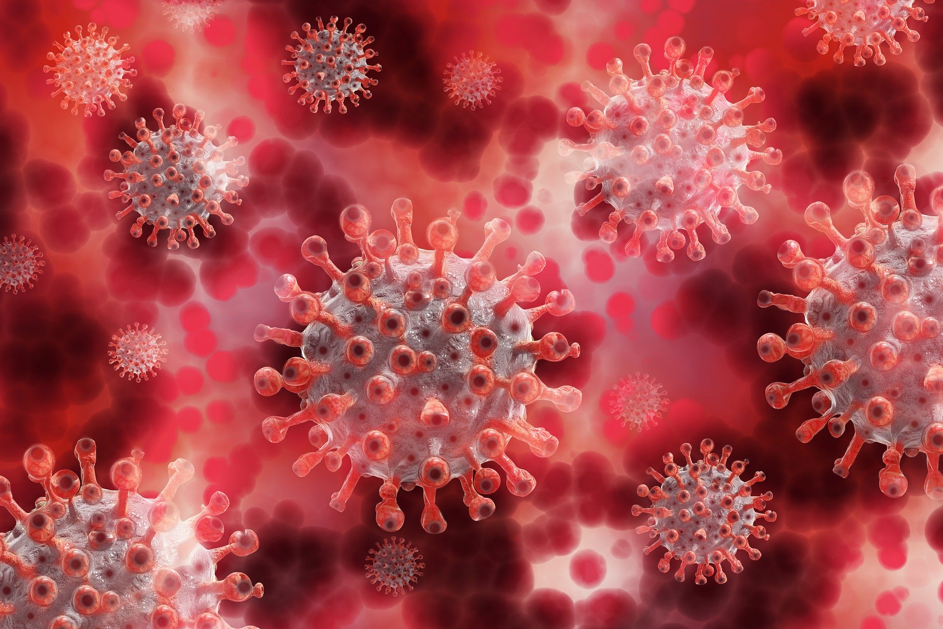 Covid update : कोरोना से राहत की खबर, संक्रमण दर में लगातार हो रही कमी