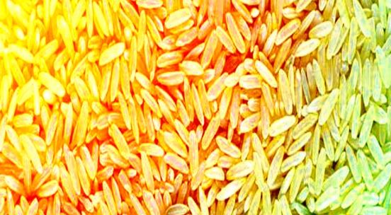 Astrology Remedies For Money : चावल बनाएगा नये वर्ष में आपको मालामाल, इन दानों से कर लें अचूक उपाय
