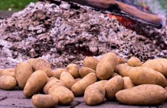 Bhuna Hua Aloo : सर्दियों में भुनी हुई आलू का स्वाद लगता है लाजवाब ,सेहत को मिलते हैं कई फायदे