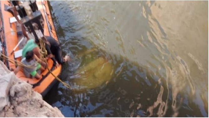 Major accident in Rajasthan : चंबल नदी में गिरी कार, दूल्हा समेत 9 की मौत