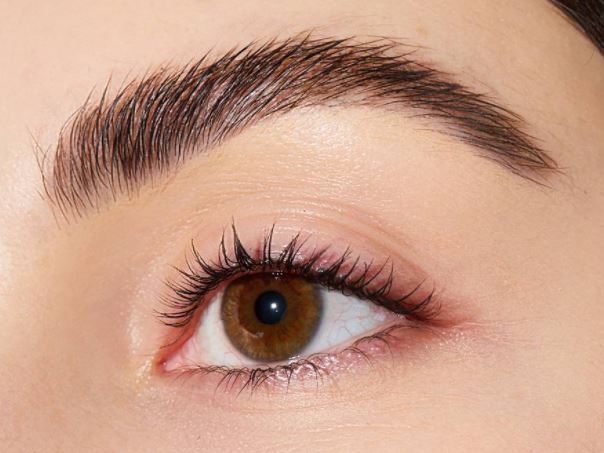 Eyebrows : भौहें आपस में जुड़ी हुई हो तो इसका ये खास संकेत है, होती ऐसी है ऐसी जिंदगी