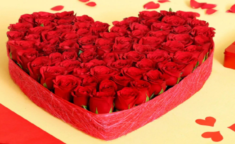 Valentine Week 2022 : Rose Day पर ये बेहतरीन गिफ्ट और गुलाब के फूल अपने पार्टनर को भेजकर बनाएं खास