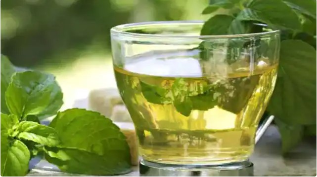 Green Tea : ग्रीन टी पीने का सही समय और जान लें तरीका