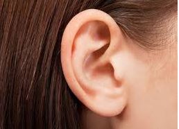 Shakun Shastra : दाहिना कान फड़कने का मतलब व्यक्ति को उच्च पद प्राप्त होगा, शुभ शकुन के बारे में जानिए