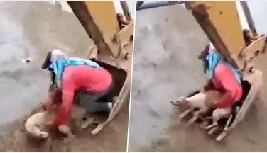 Viral Video: जेसीबी मशीन की मदद से शख्स ने बेजुबान जानवर की बचाई जान