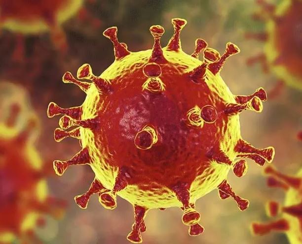 corona virus update: भारत में कोरोना संक्रमण के बढ़ रहे केस, 24 घंटे में मिले 3,688 संक्रमित  