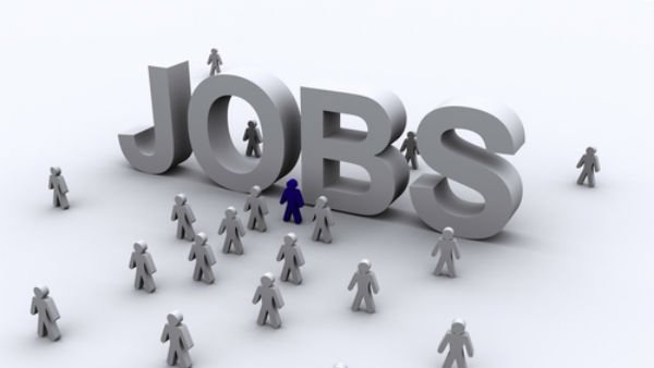 RSMSSB Recruitment 2022: राजस्थन कर्मचारी चयन बोर्ड ने 3531 पदों पर निकाली भर्ती, ऐसे करें अप्लाई