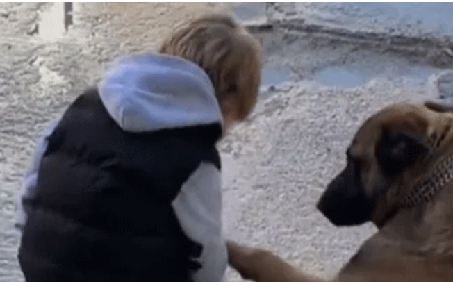 छोटे बच्चे ने कुत्ते को किया किस, वीडियो वायरल