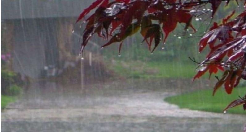 Weather Alert: जानें कब यूपी में दस्तक देगी मानसून की बारिश, गर्मी से बेहाल है जनता
