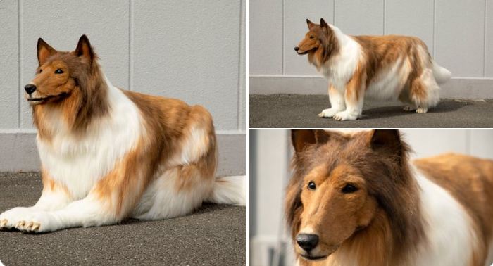 Viral Video: कुत्ता बनने के शौक में शख्स ने कर लिया अपना ऐसा हाल, 12 लाख खर्च कर बना जानवर