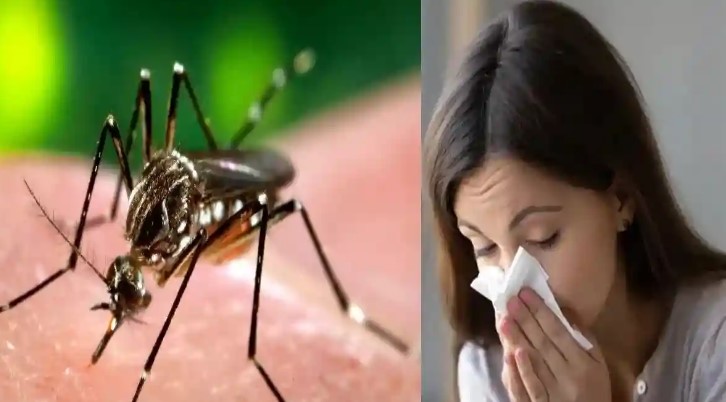बारिश में डेंगू जैसी बीमारियों से रहें सावधान, जानिए क्या है लक्षण