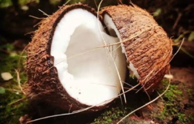 Astro tips coconut : यह फल बाधाओं को करता है दूर, जानिए ज्योतिष के अनुसार इसके फायदे
