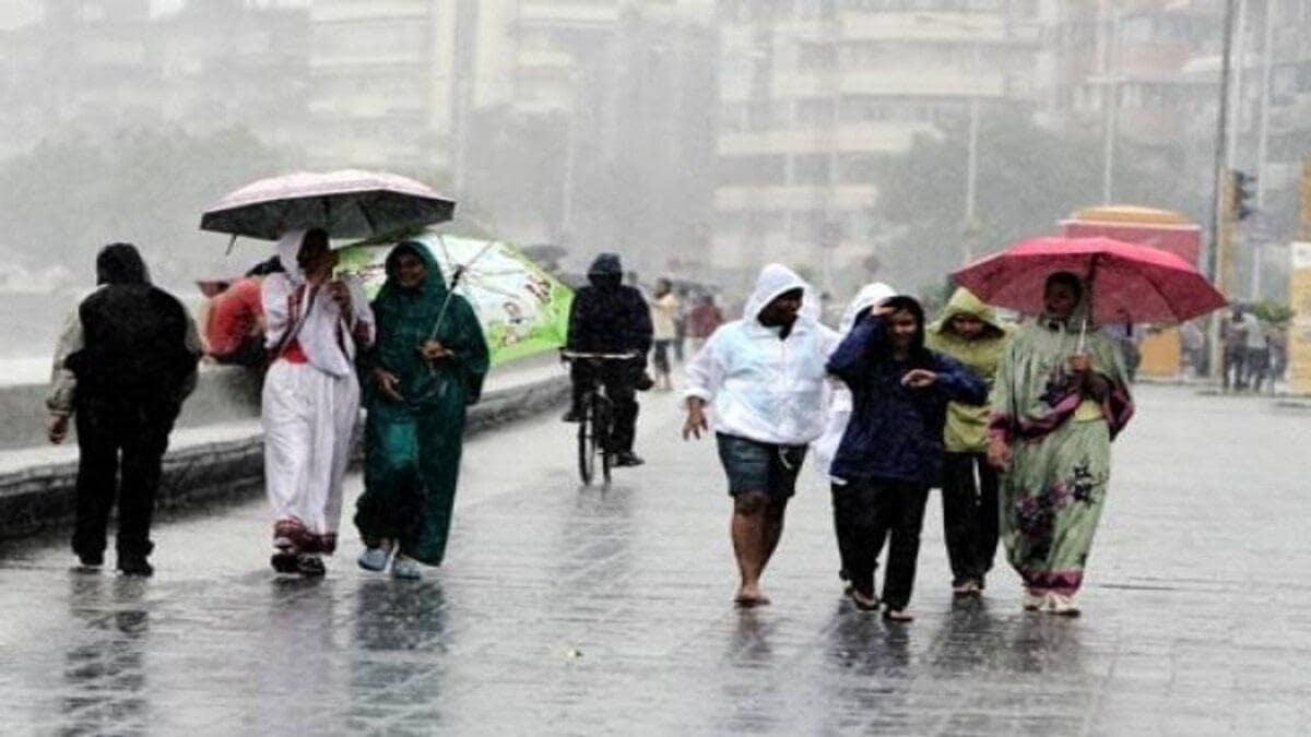 Weather Update : IMD ने भारत के कई हिस्सों में भारी बारिश की भविष्यवाणी,जानें आपके यहां का कैसा रहेगा मौसम