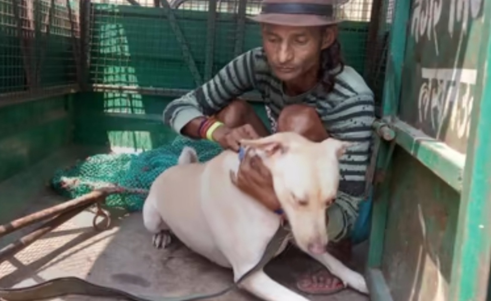 Lucknow News: पालतू कुत्ते ने युवक को बनाया निशाना, निजी अंग को काटा
