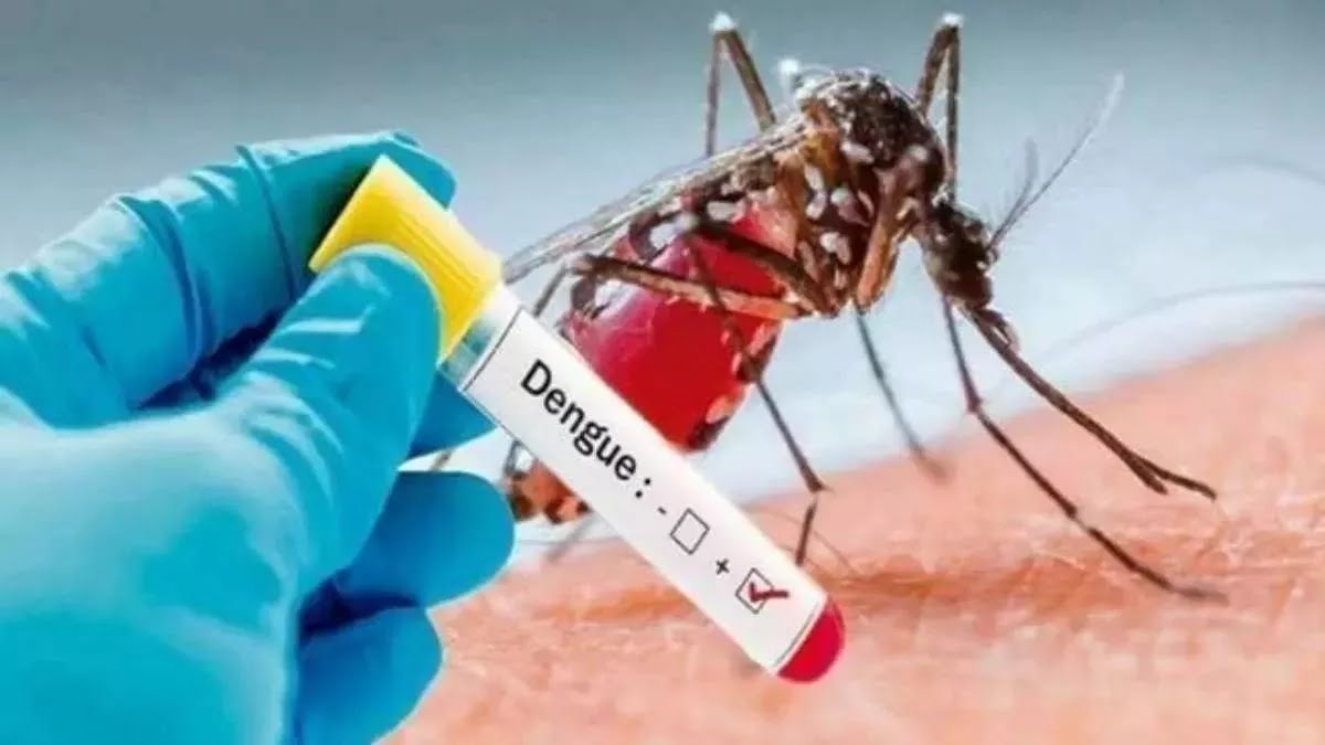 महराजगंज मे तेजी से पांव पसार रहा डेंगू,कुल मरीजों की संख्या पहुंची 31