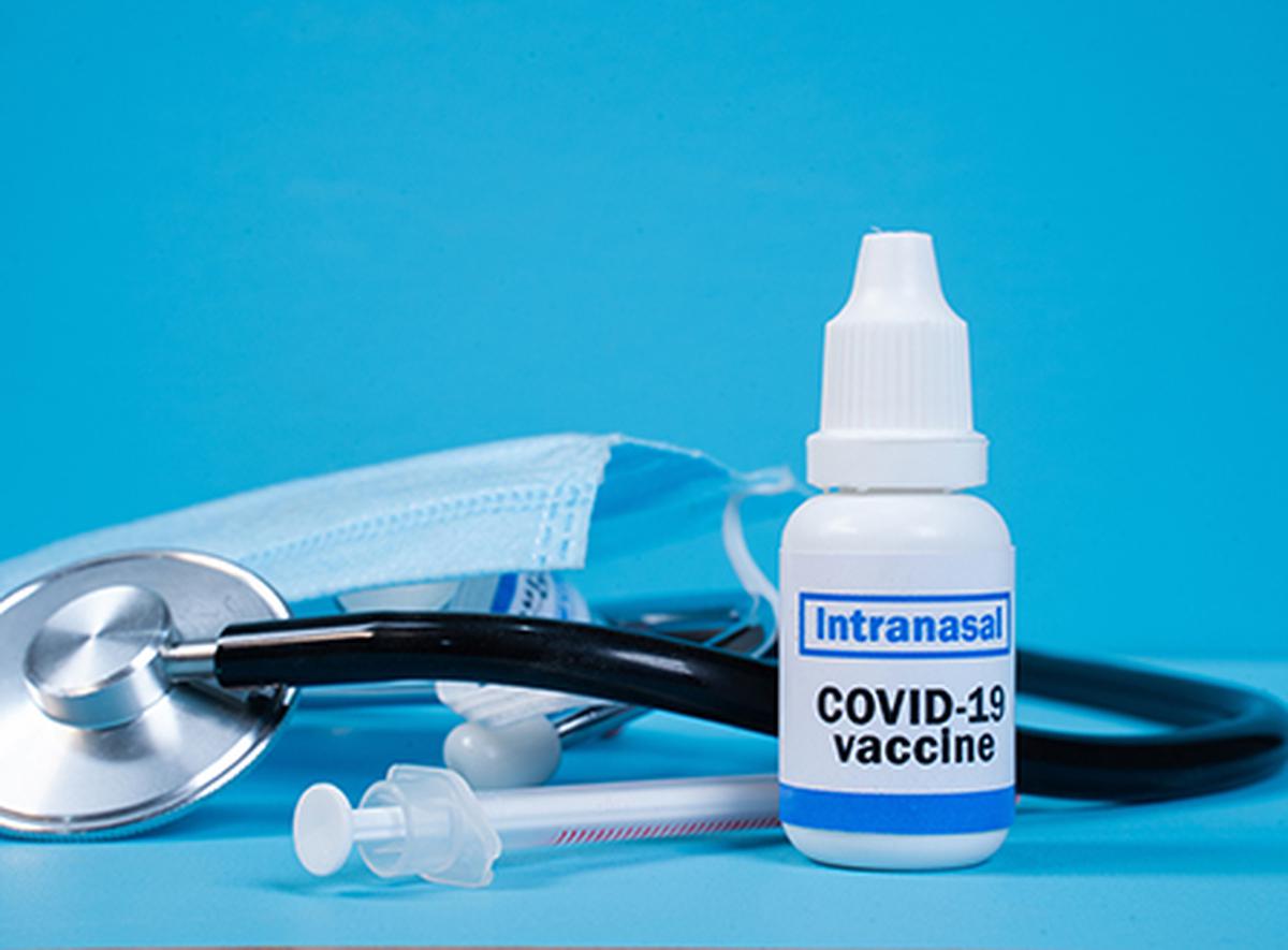 Covid 19 Vaccine : भारत बायोटेक इंट्रानैसल कोविड वैक्सीन को DCGI ने दी मंजूरी