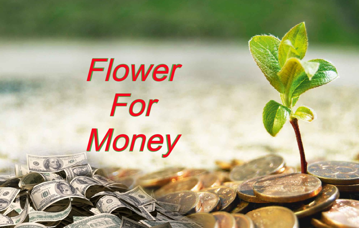 Flower For Money: इन फूलों से होता है शत्रुओं का नाश, बढ़ती है धन संपदा…