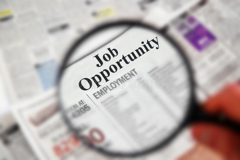 Job Opportunities : SBI Clerk, SSB समेत कई विभागों में नौकरी के अवसर, यहां लें पूरी जानकारी