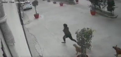गाजियाबाद में कुत्तों ने एक साल के बच्चे पर किया हमला, वीडियो देख कांप जाएगी रूह