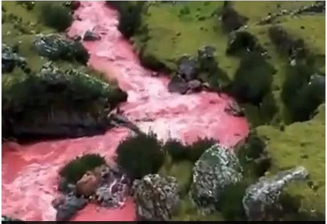 VIDEO : अरे यहां बहती है ‘River of Blood’, वजह जान उड़ जाएंगे होश