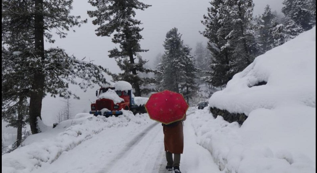 जम्मू-कश्मीर के बारामूला में हल्की बर्फबारी, देखें update