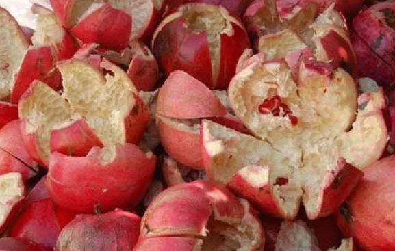 Pomegranate peel : अनार के छिलके को बेकार समझ कर ने फेंके, जानिए फायदे और इस्तेमाल करने का तरीका