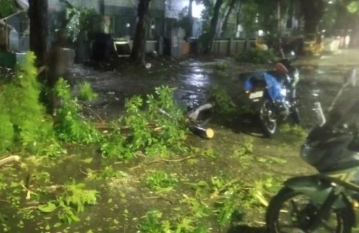 Cyclone Mandous: मैंडूस तूफान ने तमिलनाडु में जमकर मचाई तबाही, कई चीजों का भारी नुकसान