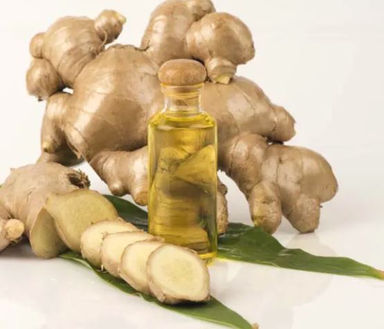 Ginger Oil : औषधीय गुणों से युक्त है अदरक, इसका तेल त्वचा के लिए बहुत गुणकारी है
