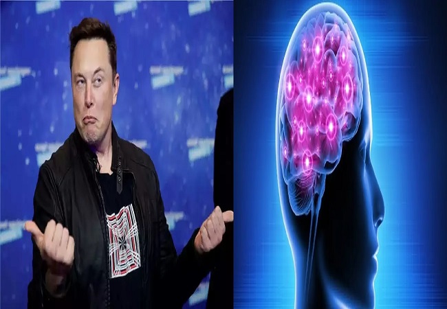 Elon Musk इंसानों दिमाग में फिट करेंगे छोटा चिप, जल्द शुरू होगा ट्रॉयल