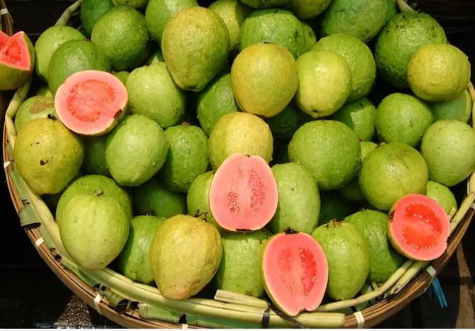Roasted Guava Benefits : सेहत को चमकाने के लिए अमरूद भूनकर खाएं, खुलेगी भूख