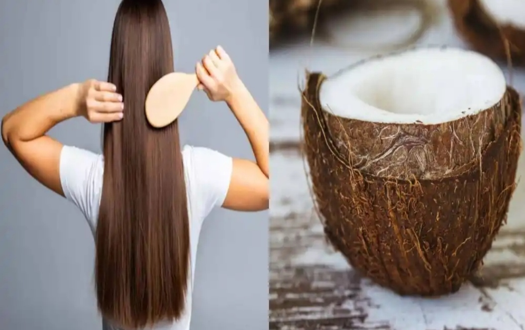 दही और नारियल का दूध बालों के लिए होता है रामबाण