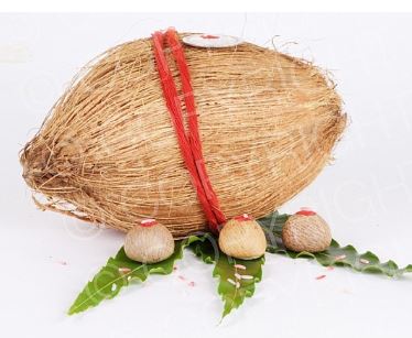  Totke Coconut : जटा वाला नारियल विघ्न बाधाएं दूर करता है, जानें इसके टोटके