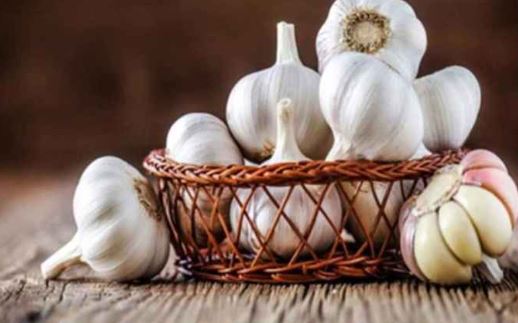 Garlic Health Benefits: लहसुन के फायदे जानकर रह जाएंगी हैरान, पोषक तत्व से होता है भरपूर