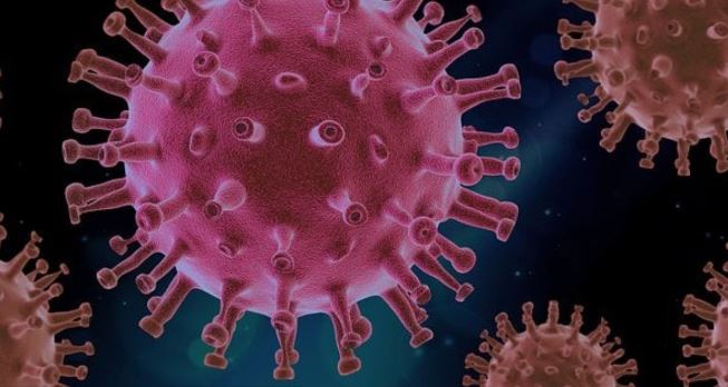 Influenza virus H3N2 : झारखंड में H3N2 का पहला मामला सामने आया