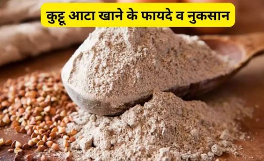 Kuttu Flour Benefits: कुट्टू आटा के स्वास्थ्य के लिए बेहद फायदेमंद होता है, जानिए फायदे व नुकसान