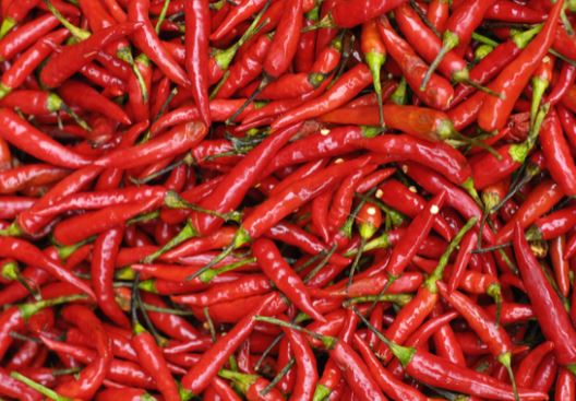 Health Benefits Red Chili : लाल मिर्च कमाल का काम करती है, जानिए तीखी मिर्च के फायदे