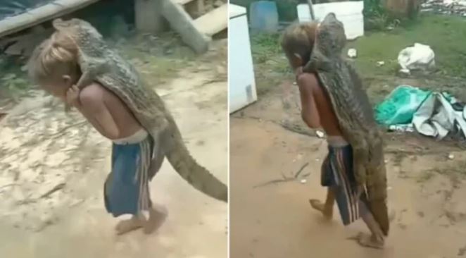 Shocking Viral Video: पीठ पर मगरमच्छ को लाद घूमता रहा बच्चा, और फिर…