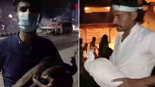 Pakistan Violence : पाकिस्तान में इमरान खान की गिरफ्तारी पर हिंसक विरोध प्रदर्शन , समर्थकों ने कमांडर के घर से चुराए मोर